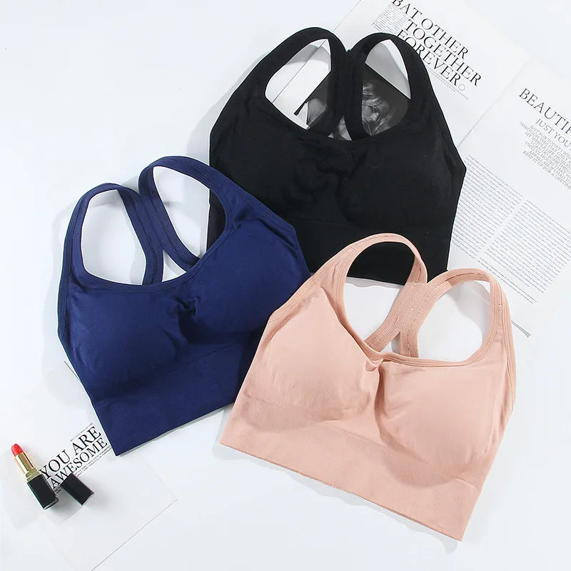 Quick Dry Sports Bra