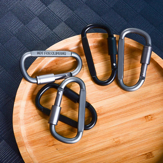 4Pcs Alloy Carabiner Set