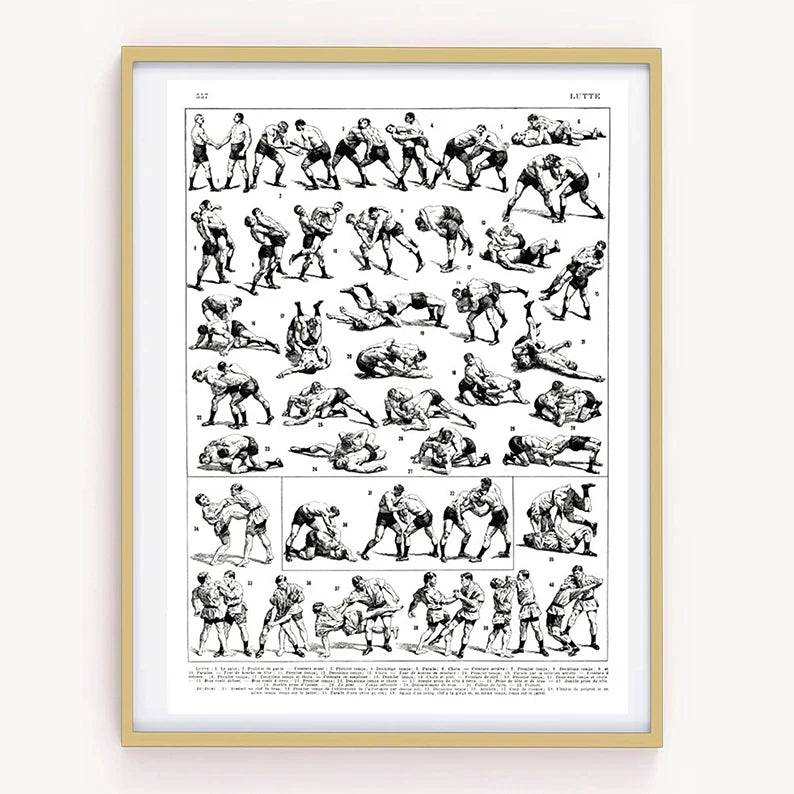 Vintage Wrestling Jiu Jitsu Technique Chart Poster