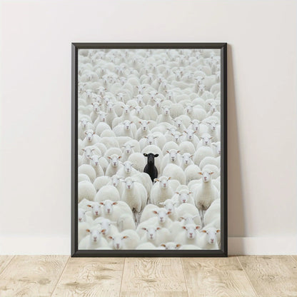 Black Sheep in the Crowd – Modern Statement Canvas Wall Art
