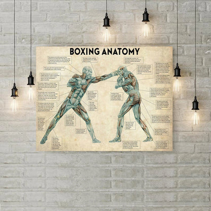 Boxing Anatomy Wall Art