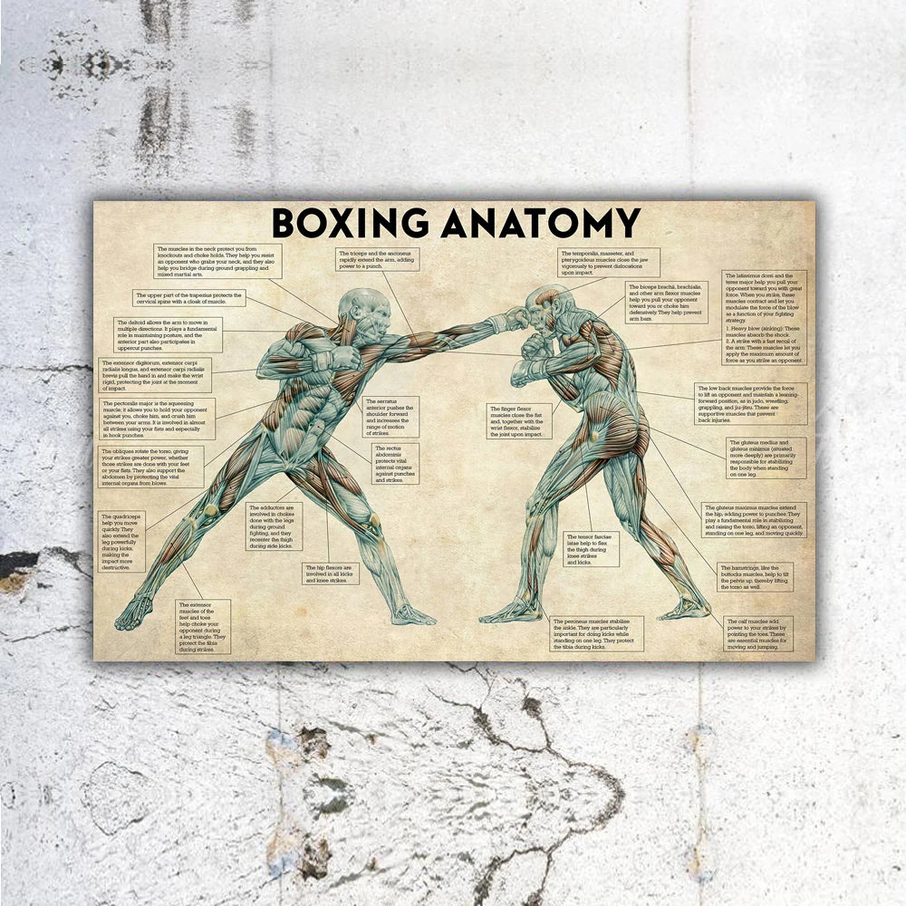 Boxing Anatomy Wall Art